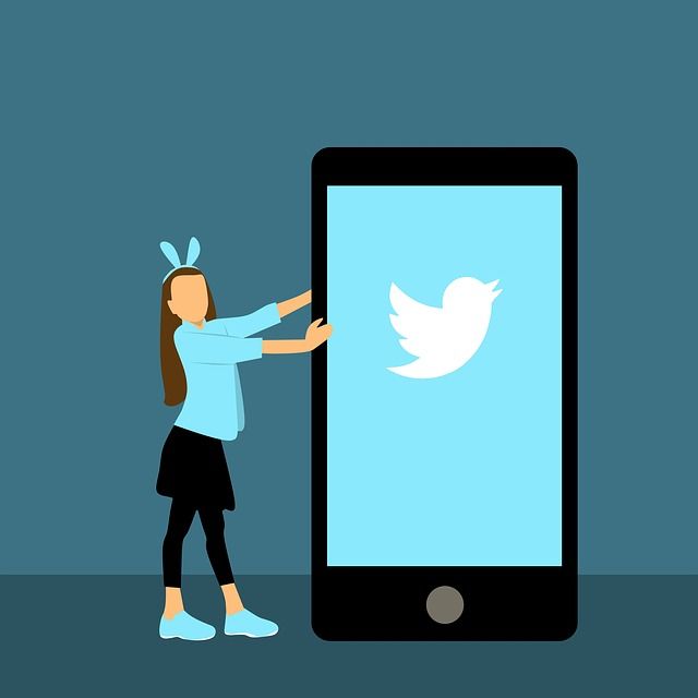 ツイッターとかいうつくづく気持ち悪いもの ナオッカニュースまとめ