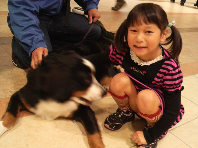 かっ ちか ちや で 芸人