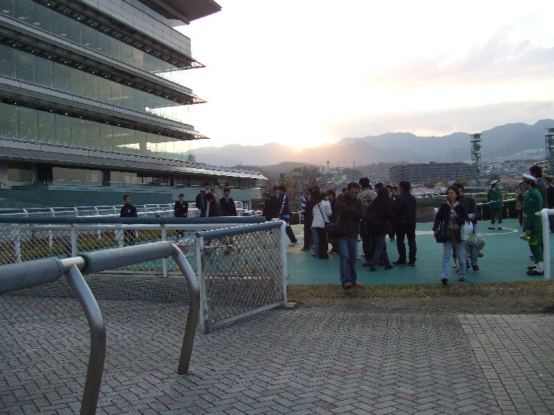 naoのブログ 阪神競馬場 馬場開放イベント写真館☆ コメント nao