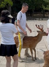 馬鹿は死ななきゃなおらないのか…