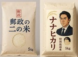2025年　6月