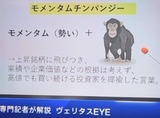 2026年　5月第1,2週