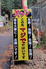 往復ビンタで追証危機