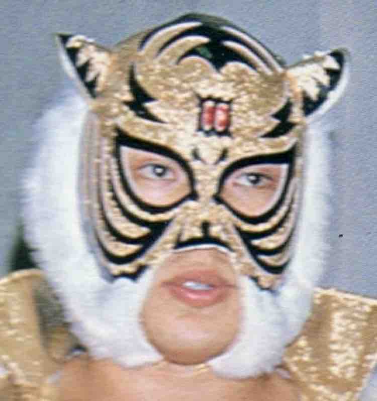 Mask】初代タイガーマスク・エレファント 個体再現物 : プロレスへの回想