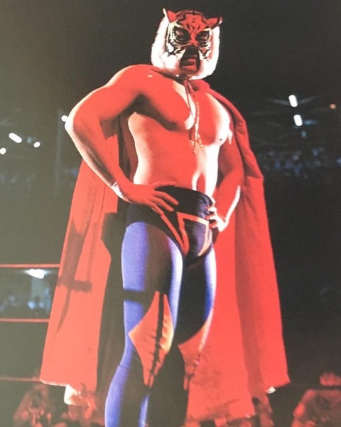 2代目タイガーマスクのヤギリマスクに関する私的考察④ : プロレスへの回想
