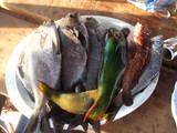 DSCF1050