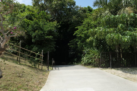 P1200549