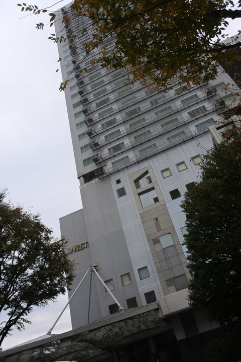 DSC_7873