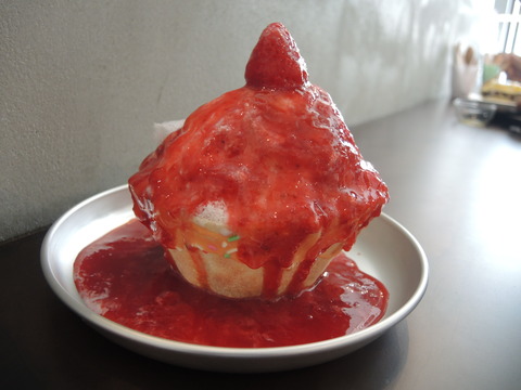 DSCN4469