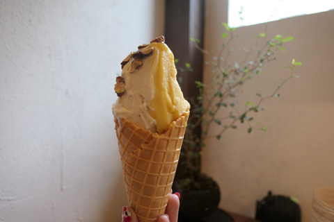 P1100126