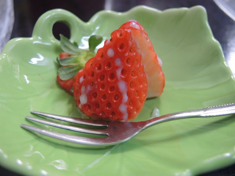 DSCN1321
