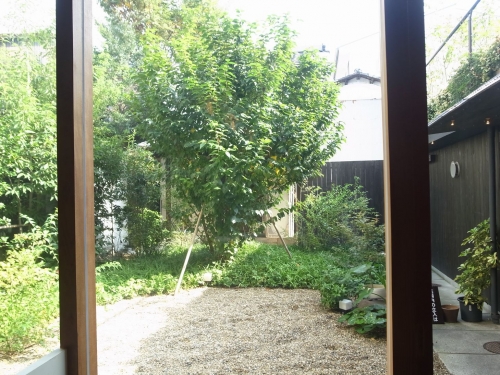 072445b4.jpg