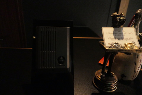 P1060266