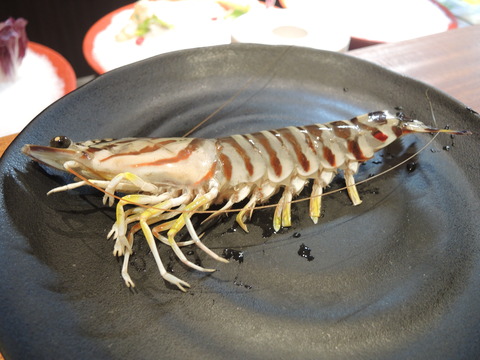 DSCN1607
