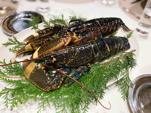 IMG_8167