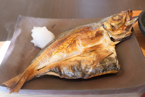 P1110287