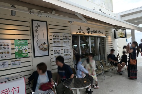 P1070238