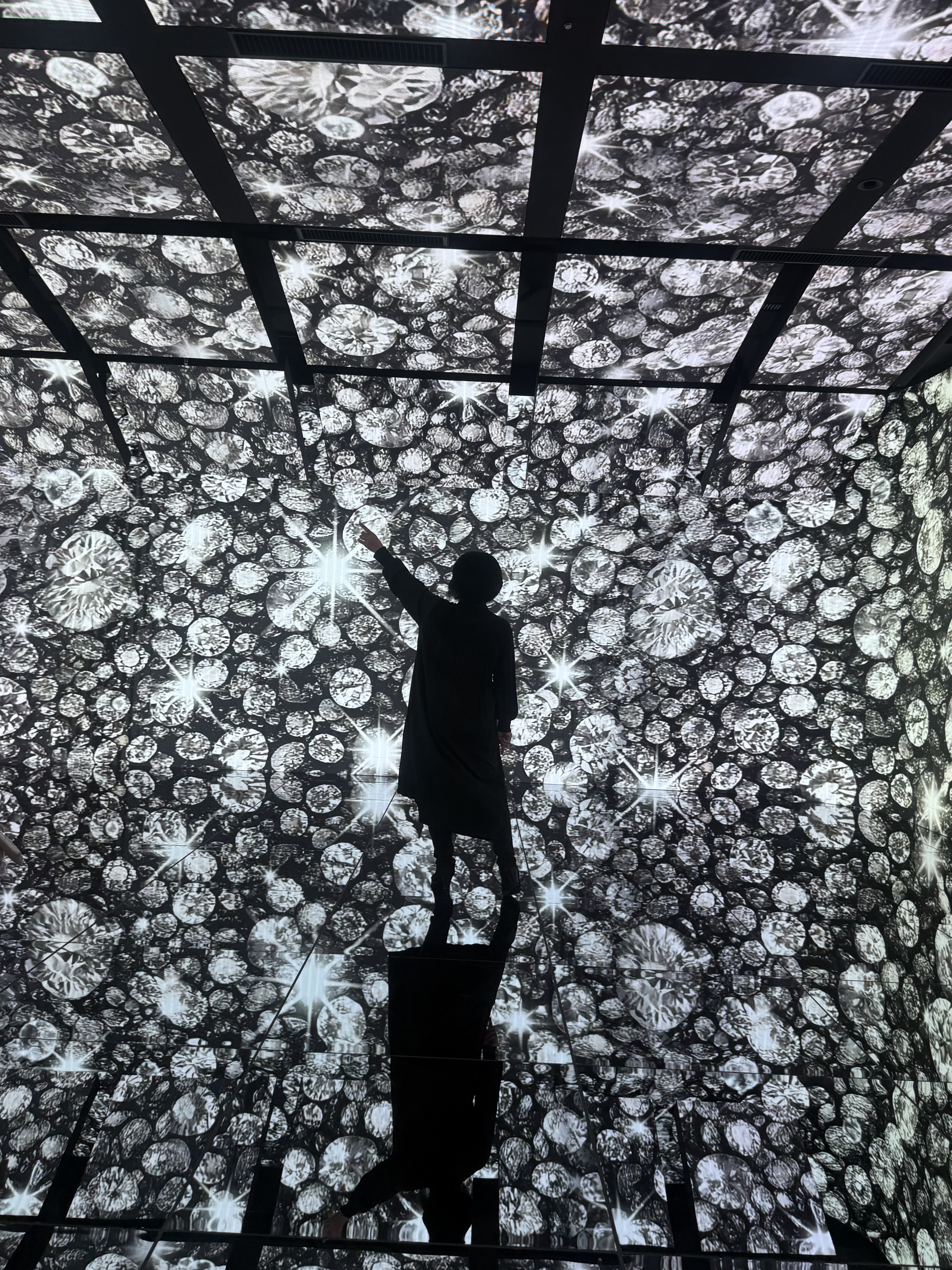 なんば】没入感デジタルアートがめちゃ楽しい！ ～MIRACLE WORLD OSAKA