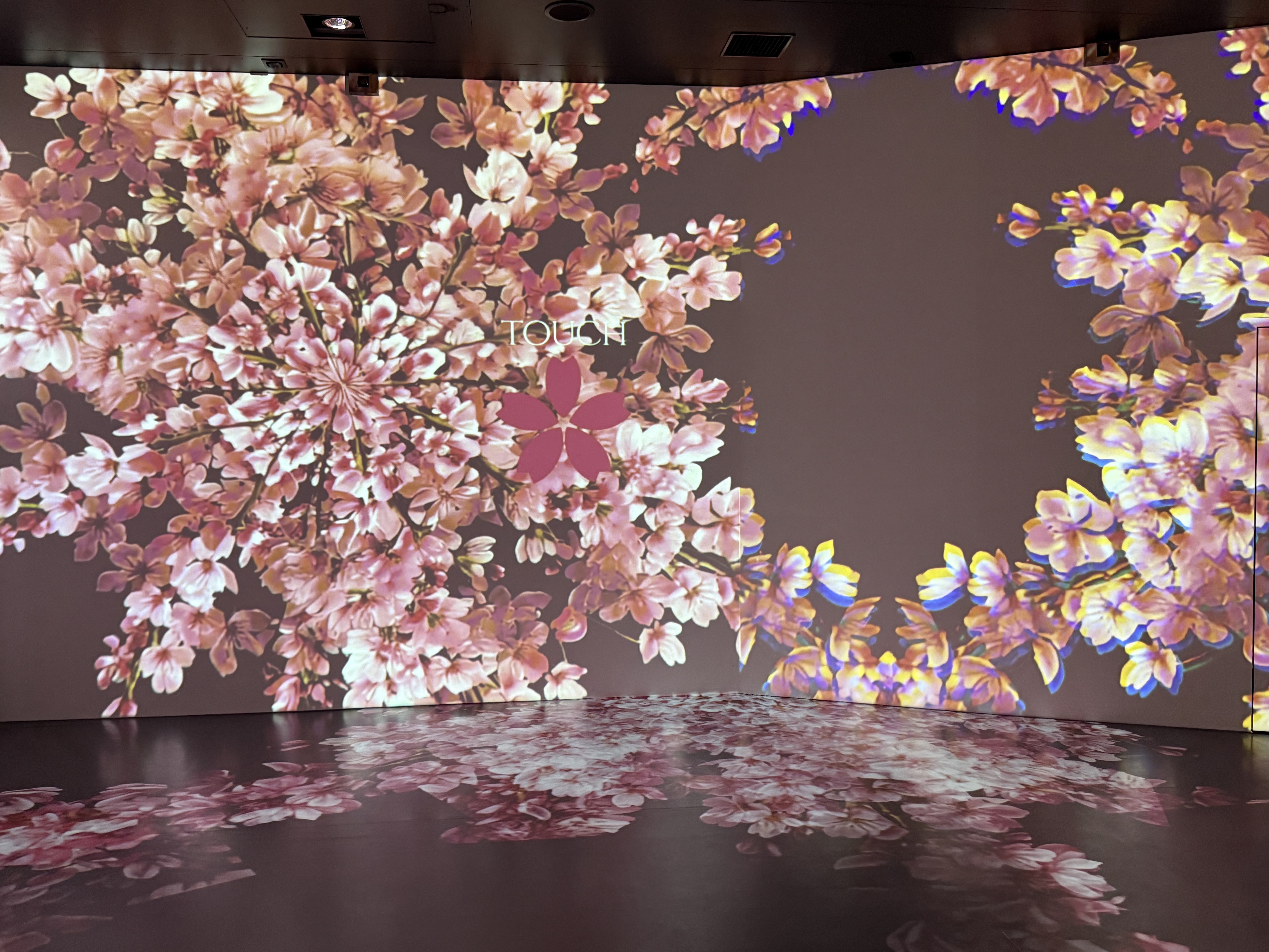 なんば】没入感デジタルアートがめちゃ楽しい！ ～MIRACLE WORLD OSAKA