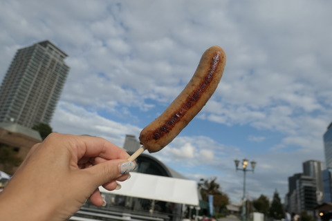 P1080575