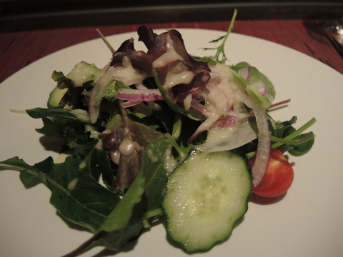 DSCN4098