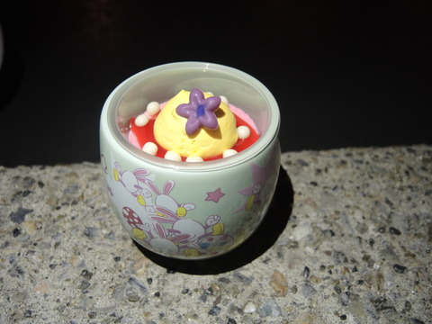 DSCN2725