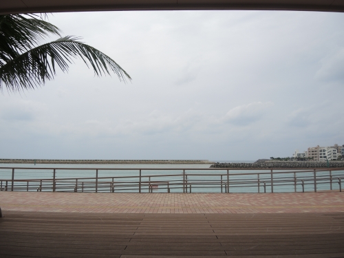 53f496e5.jpg