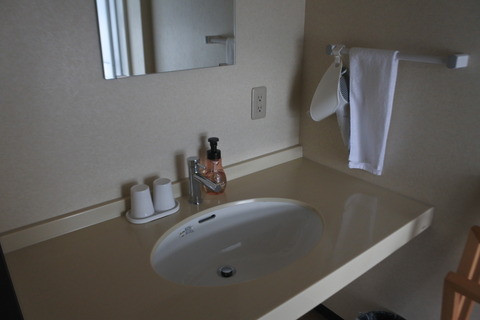 DSC_2516