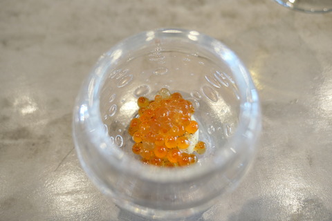 P1160050