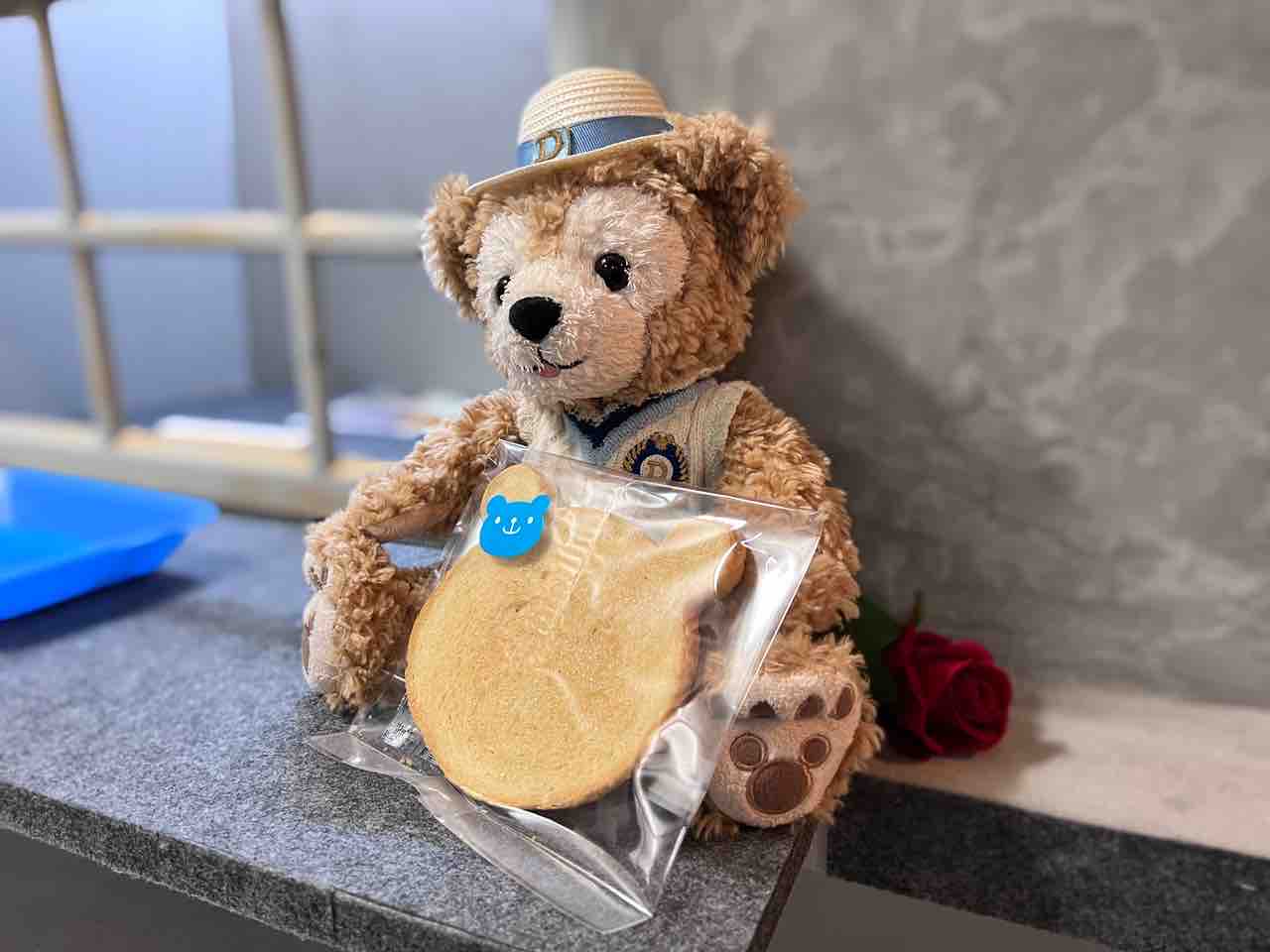 谷町九丁目・上本町】窓から出てくるかわいいくまちゃん ～クマの手