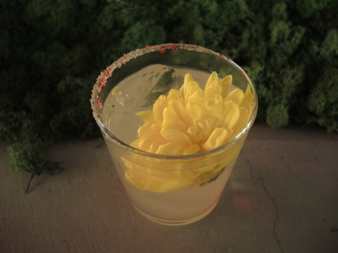 DSCN3811