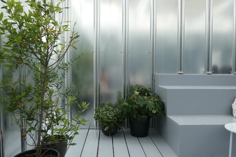 P1270295