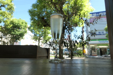 P1060097