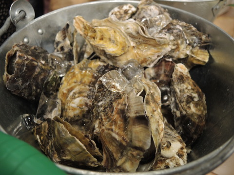DSCN5219