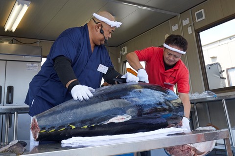 まぐろ解体ショー