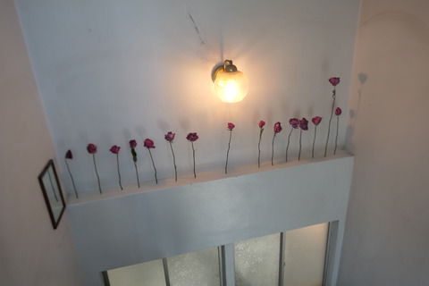 P1200510