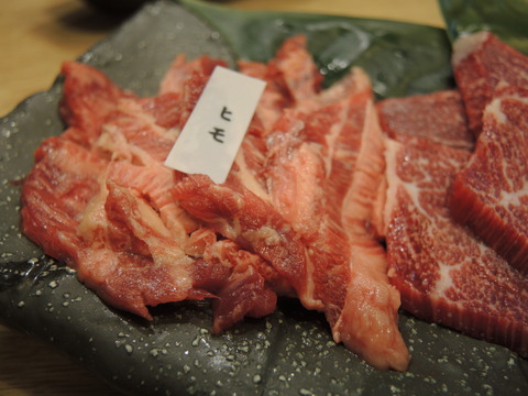 DSCN2981