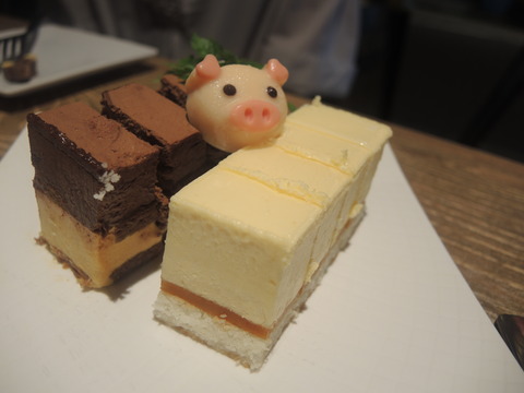DSCN4058