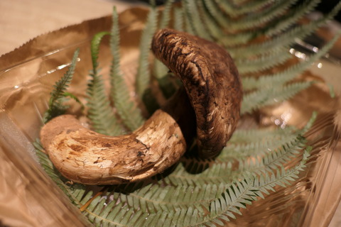 P1100009