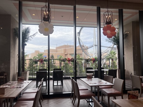IMG_2594