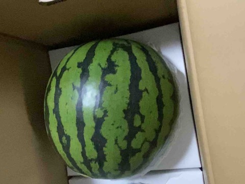 FullSizeRender