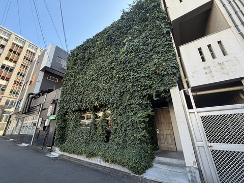 S__124543008