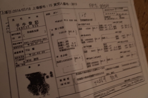 b1572647.jpg