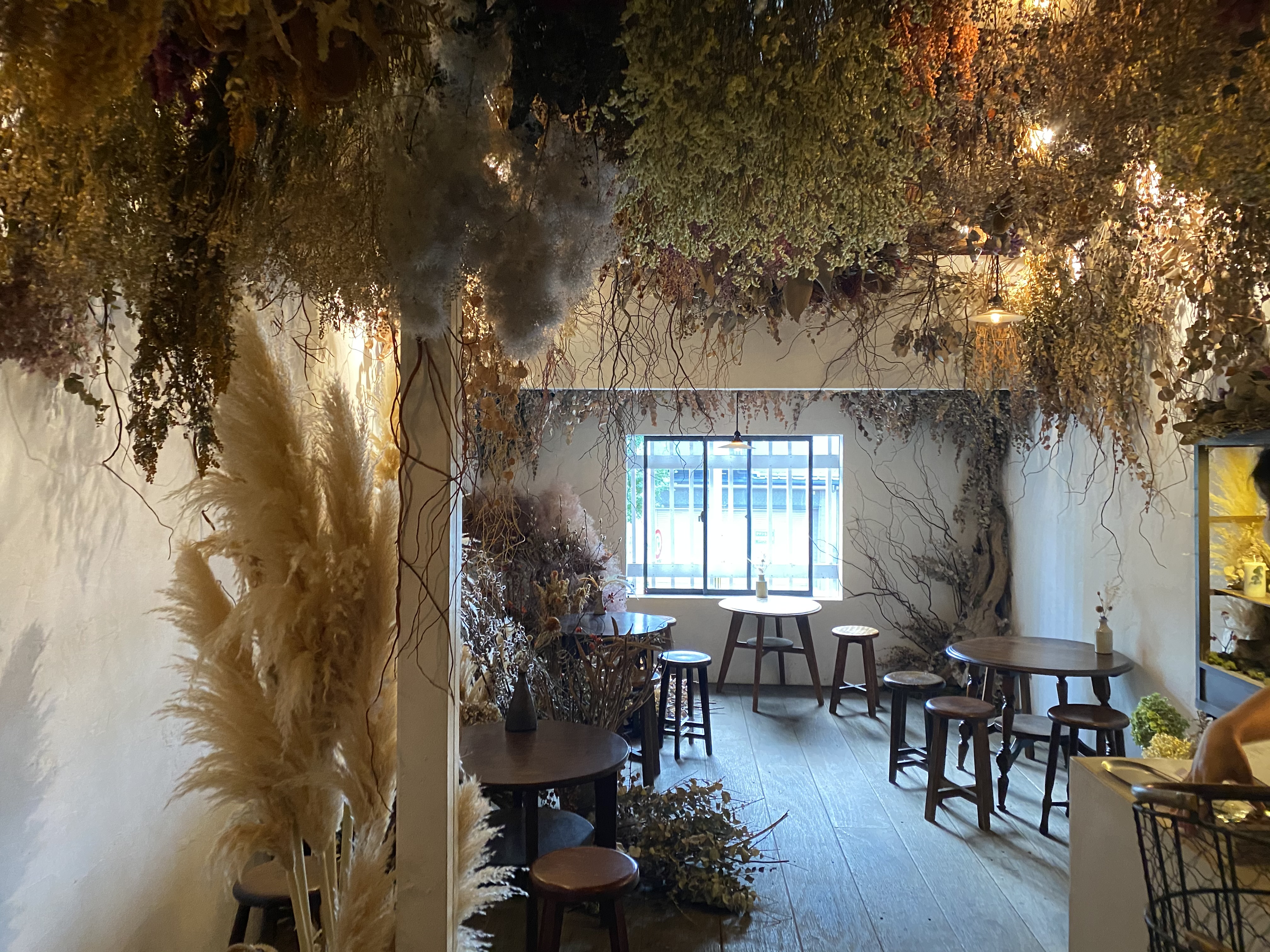 一条寺 きらきらのゼリーの旅 カシェット Cachette 自己中心食日記 Powered By ライブドアブログ