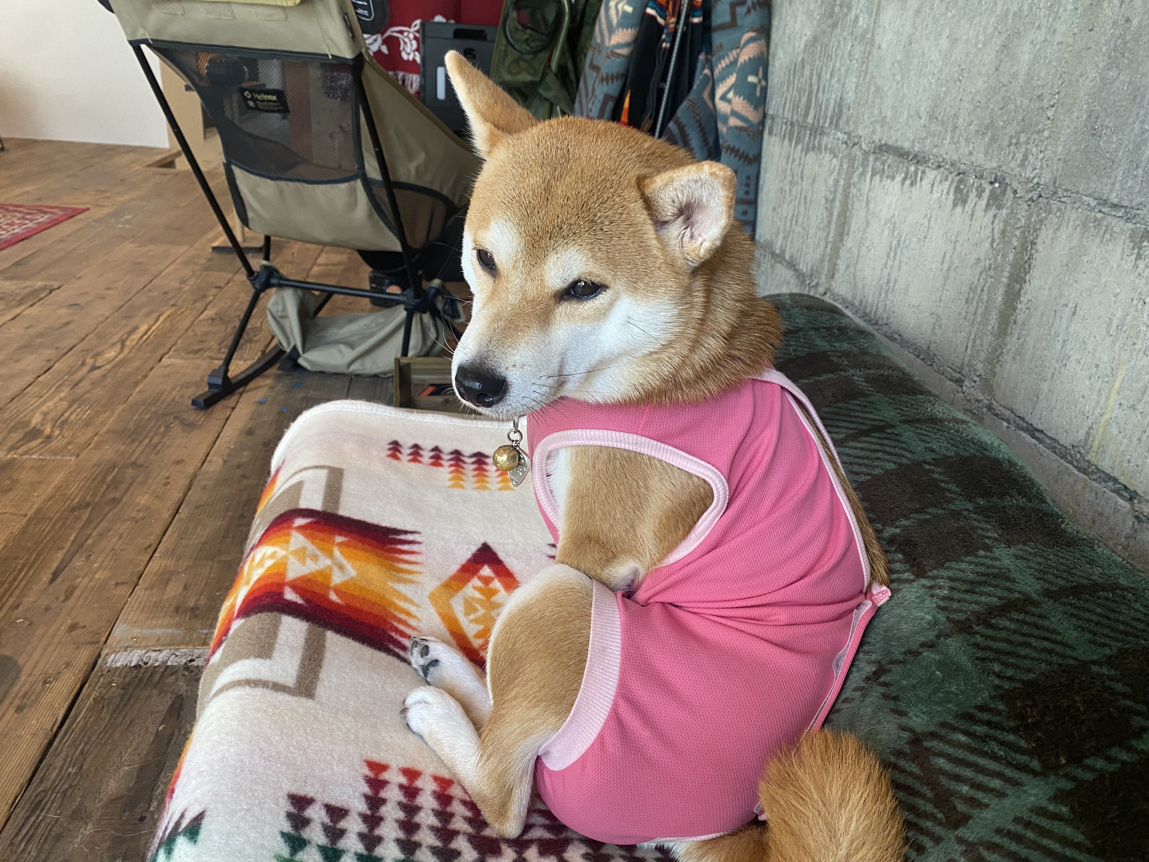 有馬温泉 福ちゃんに会いに行こう Fish House Cafe 自己中心食日記 Powered By ライブドアブログ 有馬温泉 福ちゃんに会いに行こう Fish House Cafe 自己中心食日記 Powered By ライブドアブログ