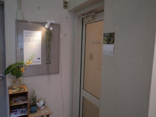 ca7d4b53.jpg