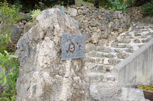 d55c395c.jpg