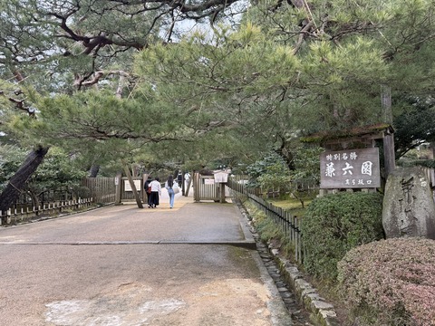 S__107241483_0