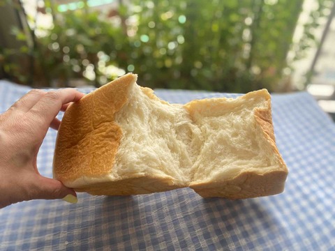 FullSizeRender