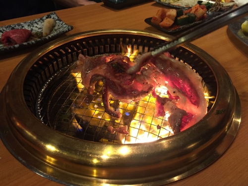 e3a95312.jpg